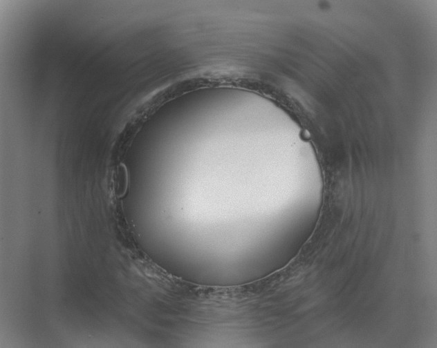 X0000074941016200609151959