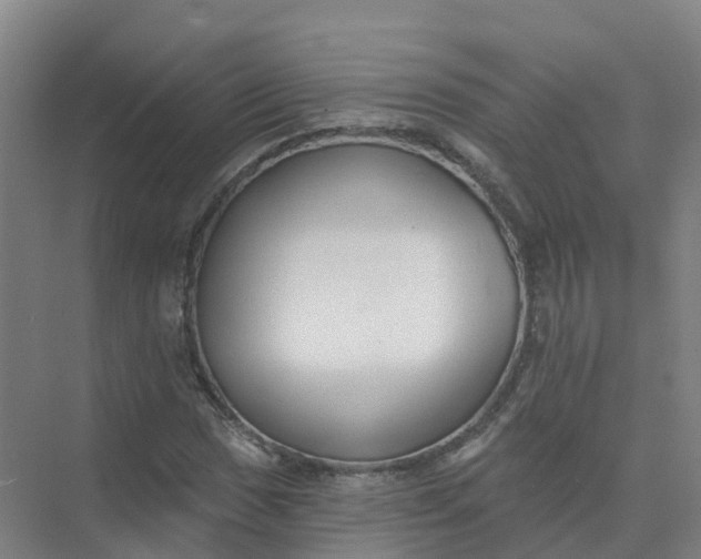 X0000074941017200609151959