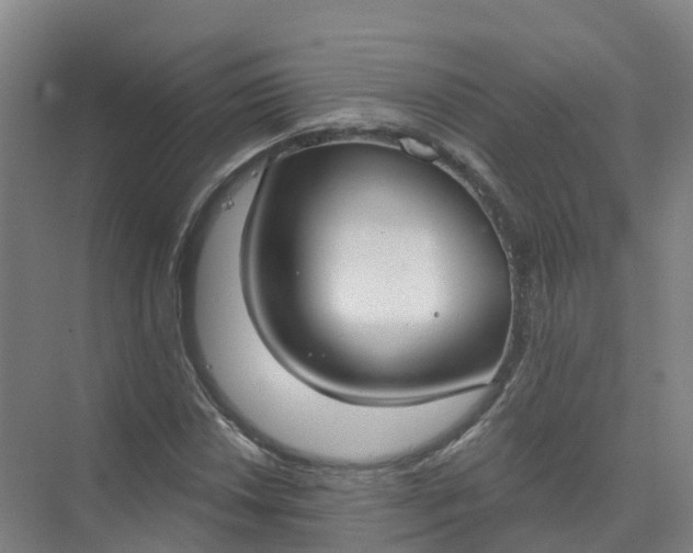 X0000074941018200609151959