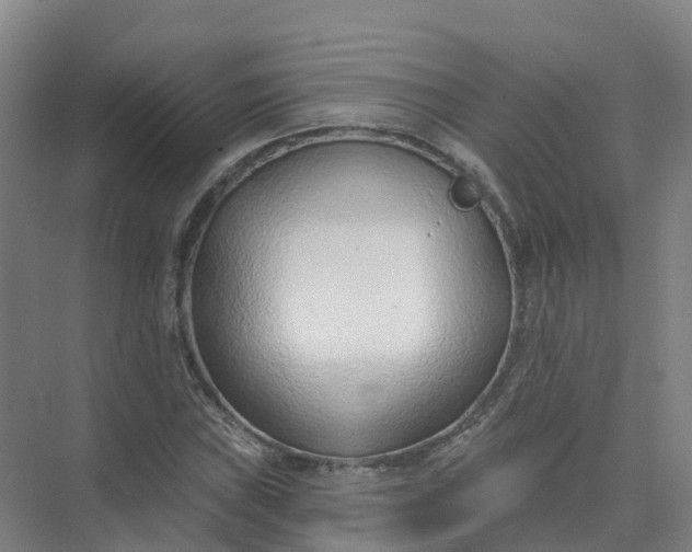 X0000074941019200609151959