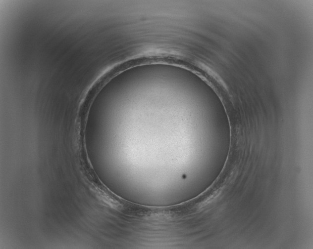 X0000074941021200609151959