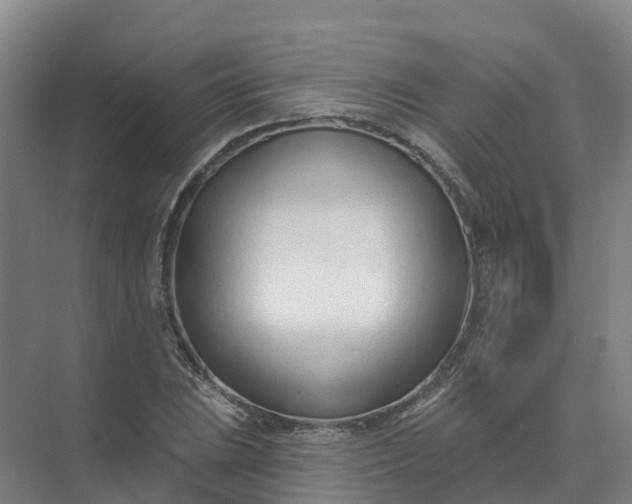 X0000074941023200609151959