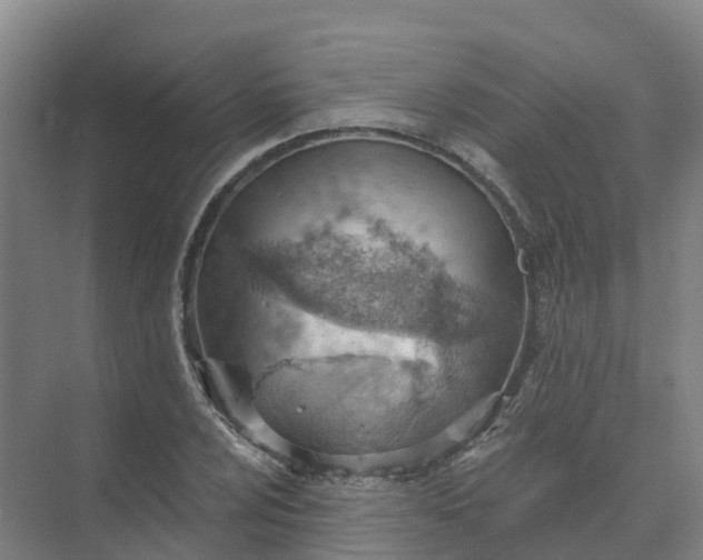 X0000074941024200609151959