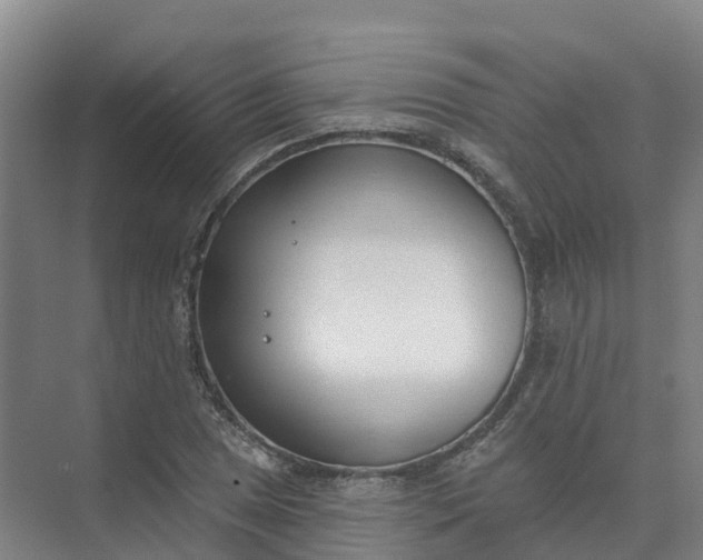 X0000074941025200609151959