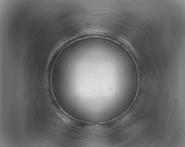 X0000074941027200609151959