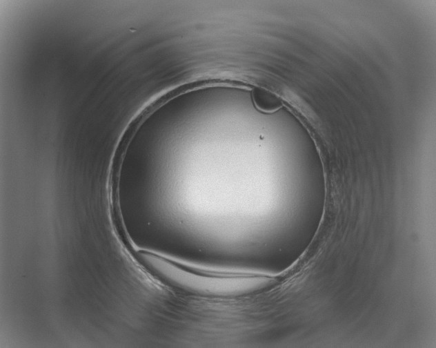 X0000074941028200609151959