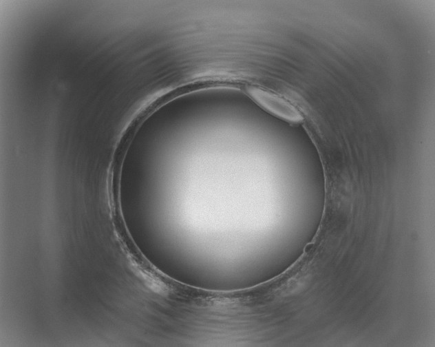 X0000074941030200609151959