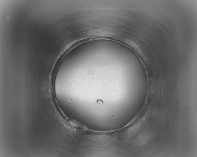 X0000074941031200609151959