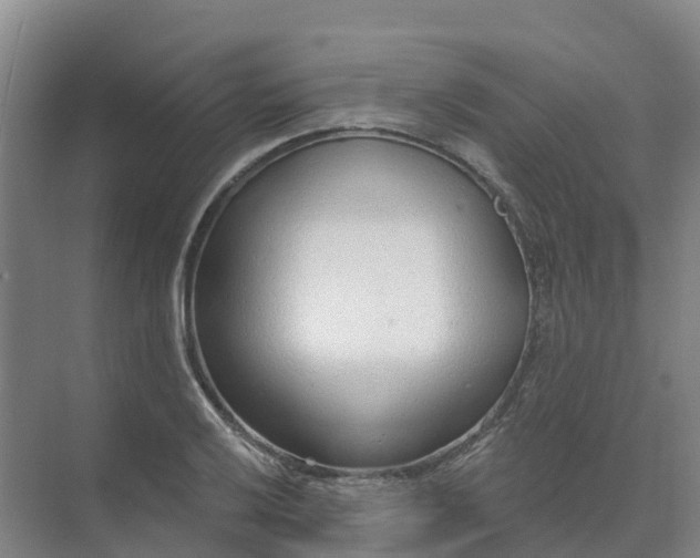 X0000074941032200609151959