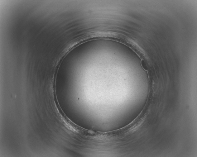 X0000074941033200609151959