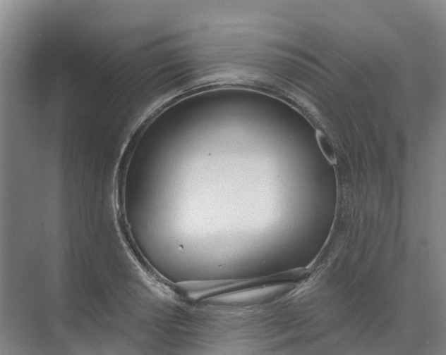 X0000074941034200609151959