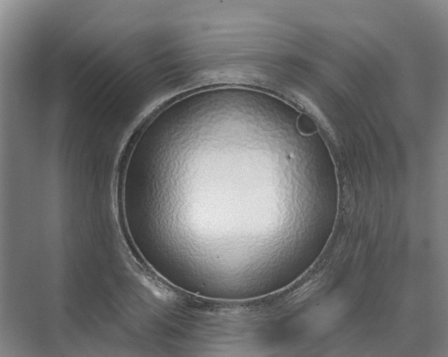 X0000074941035200609151959