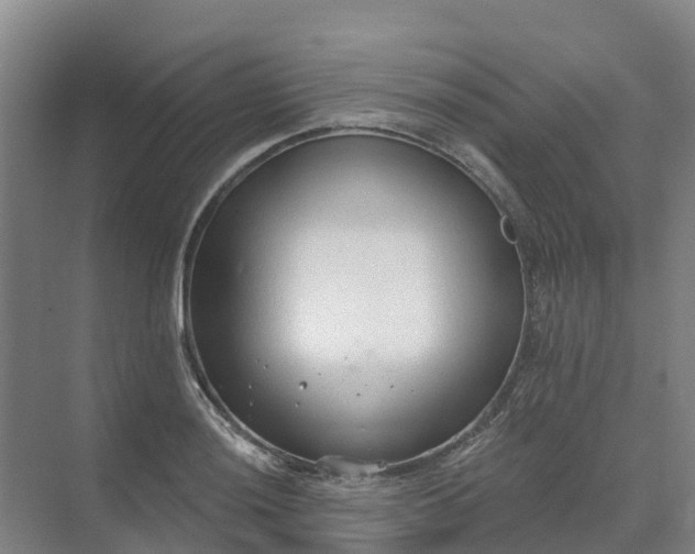 X0000074941036200609151959