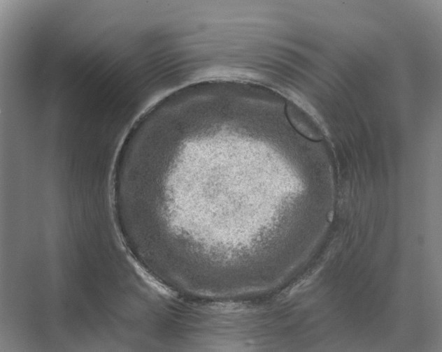 X0000074941037200609151959