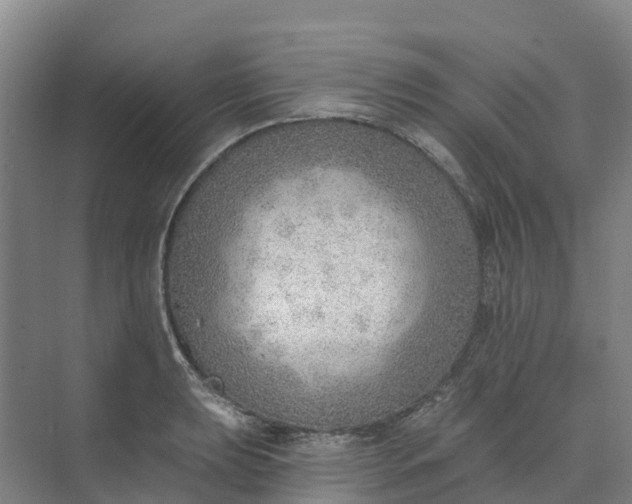 X0000074941039200609151959