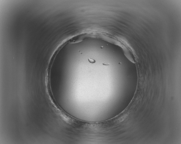 X0000074941040200609151959