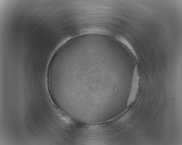 X0000074941043200609151959