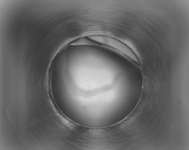 X0000074941046200609151959