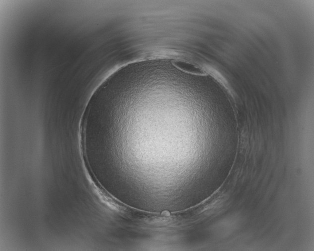 X0000074941047200609151959