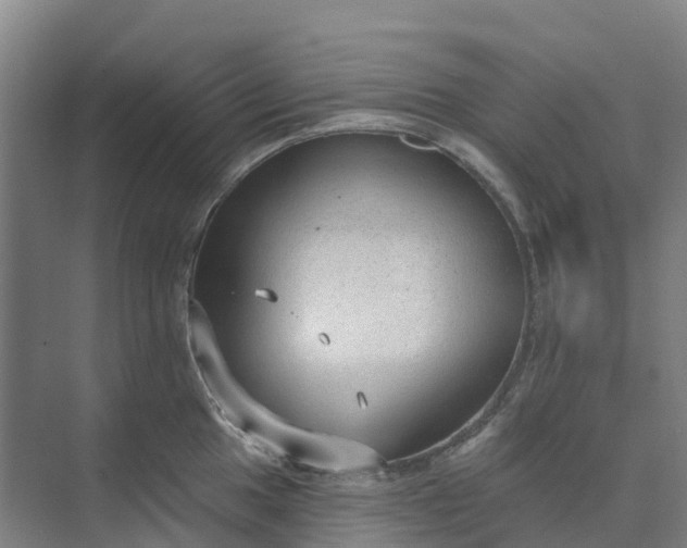 X0000074941049200609151959