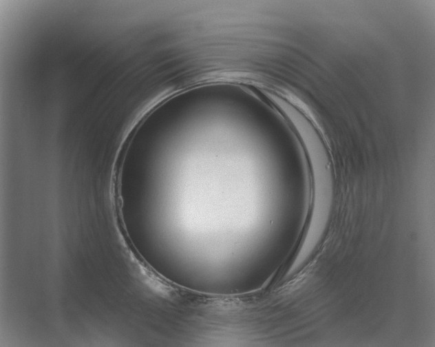 X0000074941050200609151959