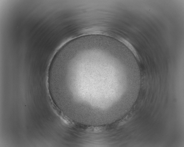 X0000074941051200609151959