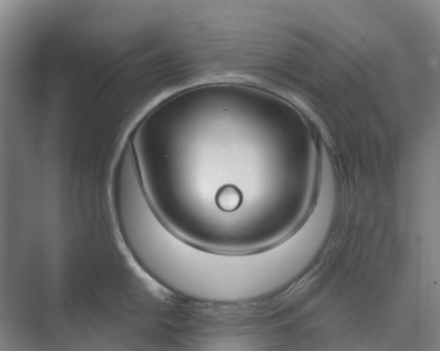 X0000074941054200609152000