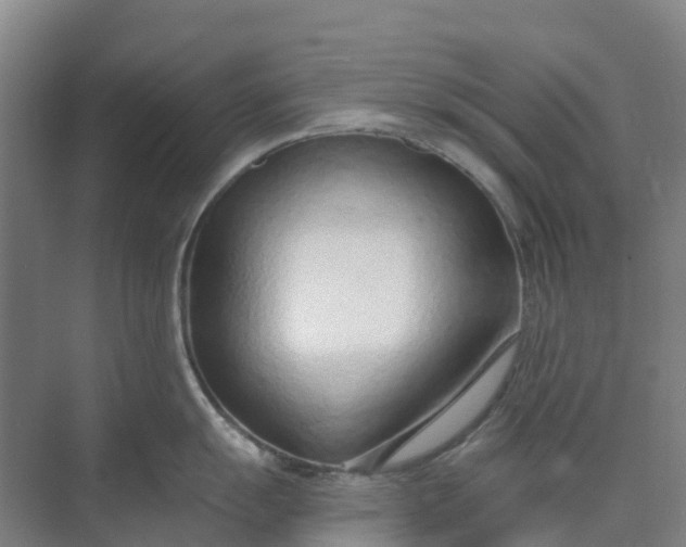 X0000074941055200609152000