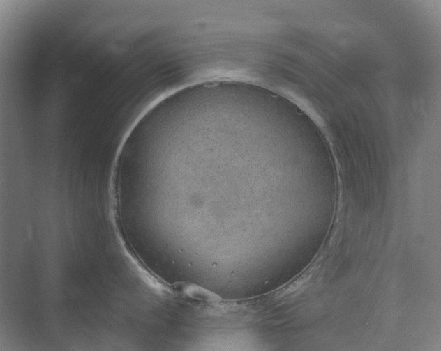 X0000074941056200609152000