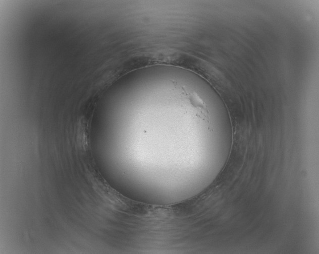 X0000074941058200609151959