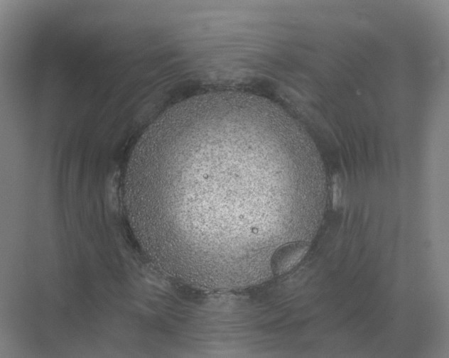 X0000074941059200609151959