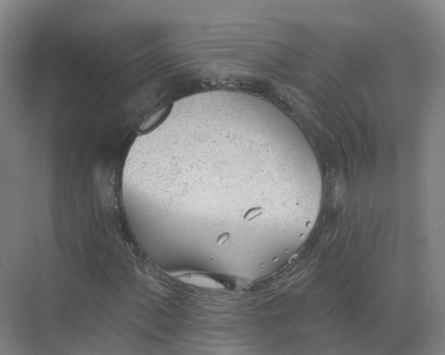 X0000074941060200609151959