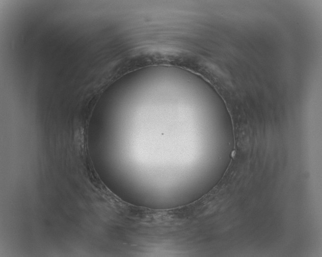 X0000074941061200609151959