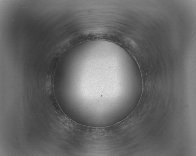 X0000074941062200609151959