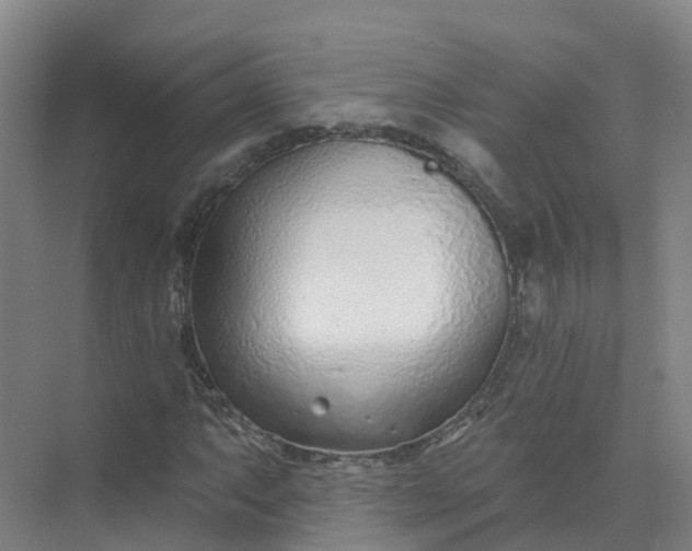 X0000074941063200609151959