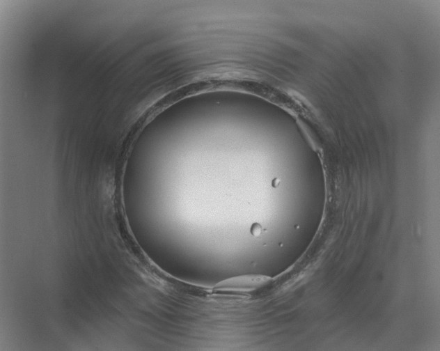 X0000074941065200609151959