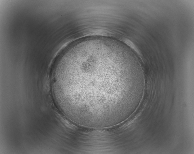 X0000074941067200609151959