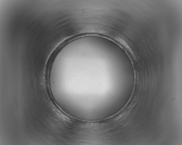 X0000074941068200609151959