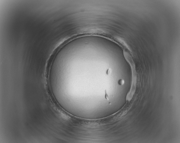 X0000074941071200609151959