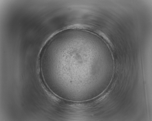 X0000074941075200609151958