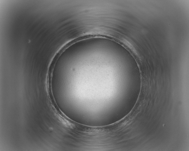 X0000074941076200609151958