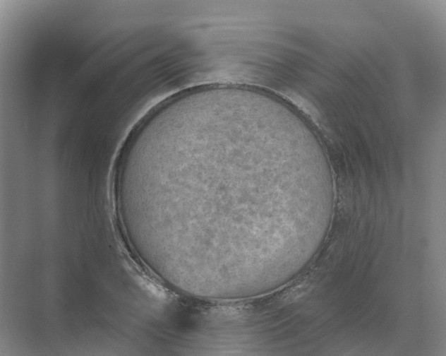 X0000074941078200609151958