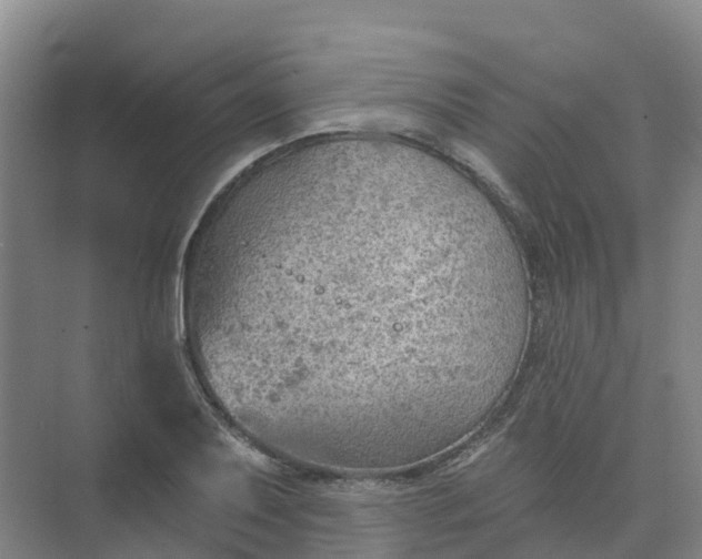 X0000074941079200609151958