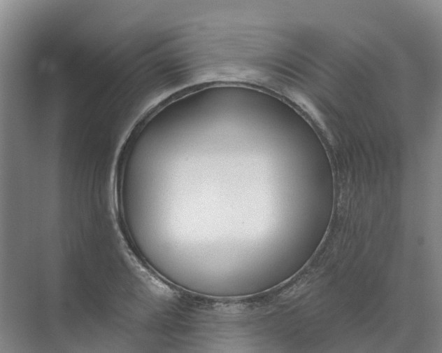 X0000074941080200609151958