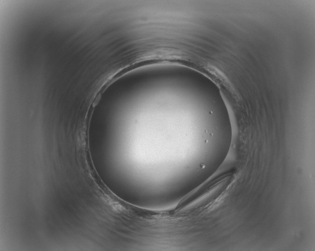 X0000074941081200609151958