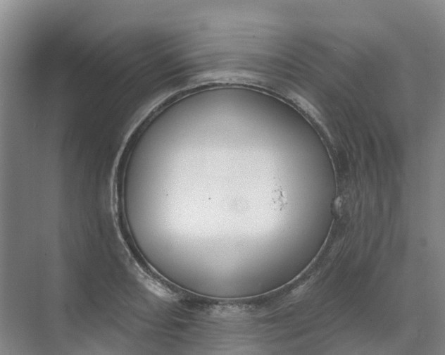 X0000074941082200609151958