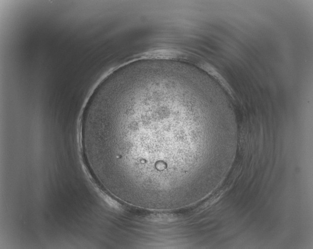 X0000074941083200609151958