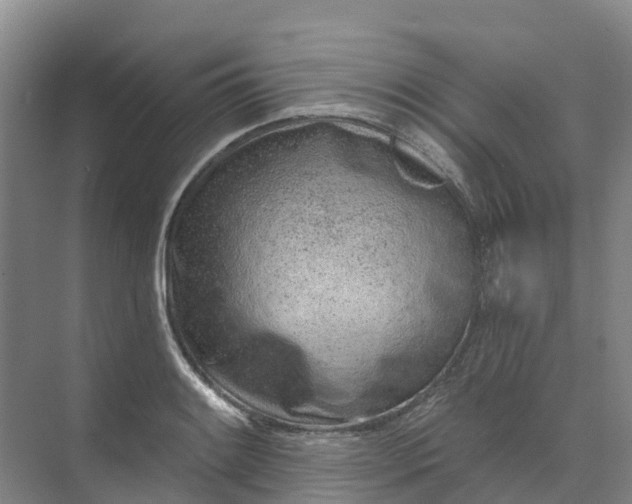 X0000074941084200609151958