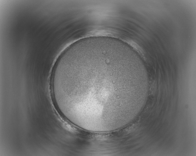 X0000074941086200609151958