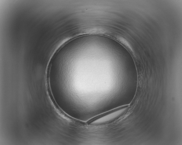 X0000074941087200609151958